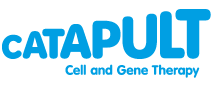 catapult cell gene therapy