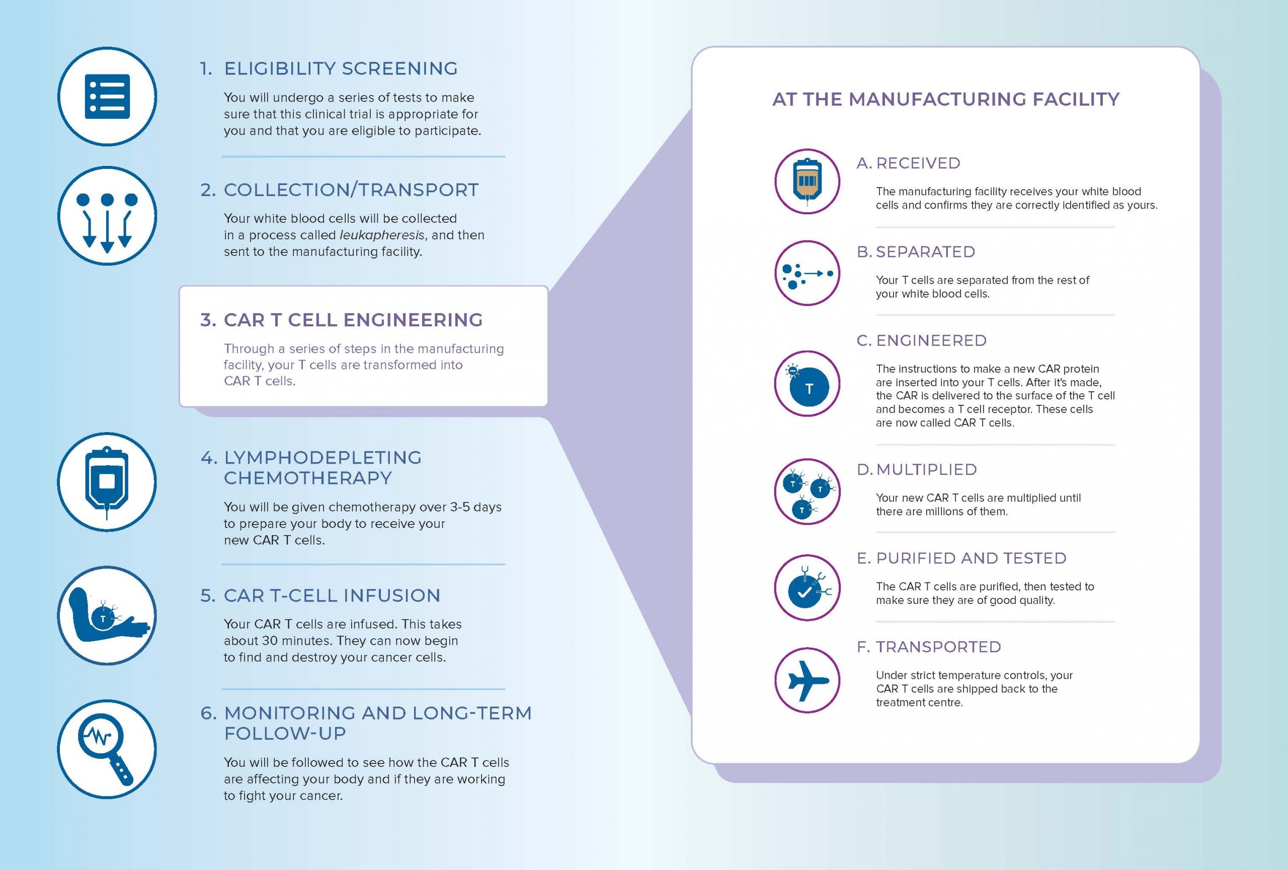 A flowchart illustrating the CAR T Cell Therapy process. Steps include eligibility screening, collection/transport, cell engineering, lymphodepleting chemotherapy, infusion, and monitoring. Details of the manufacturing steps are highlighted to the right.